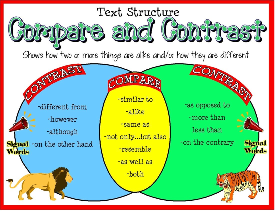 And contrast essay graphic organizer